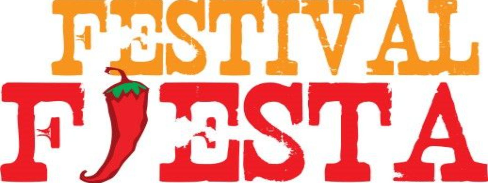 Festival Fiesta Volleyball Tournament