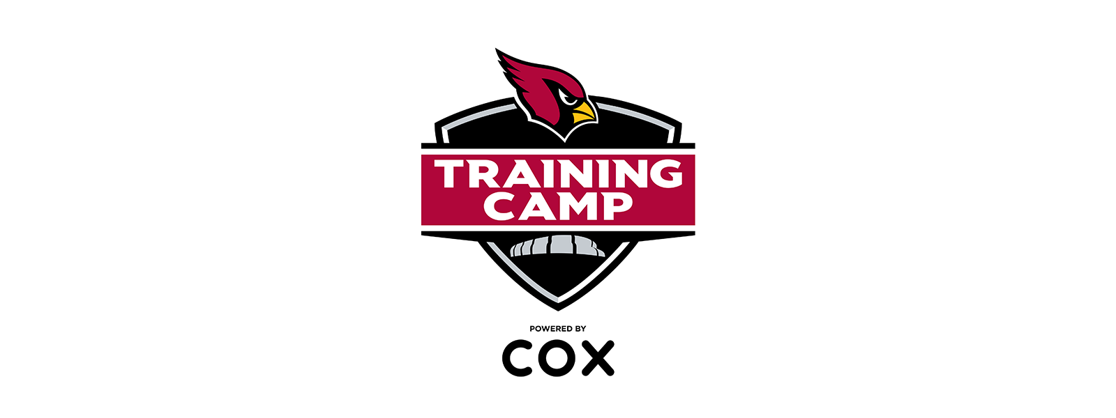Arizona Cardinals Training Camp