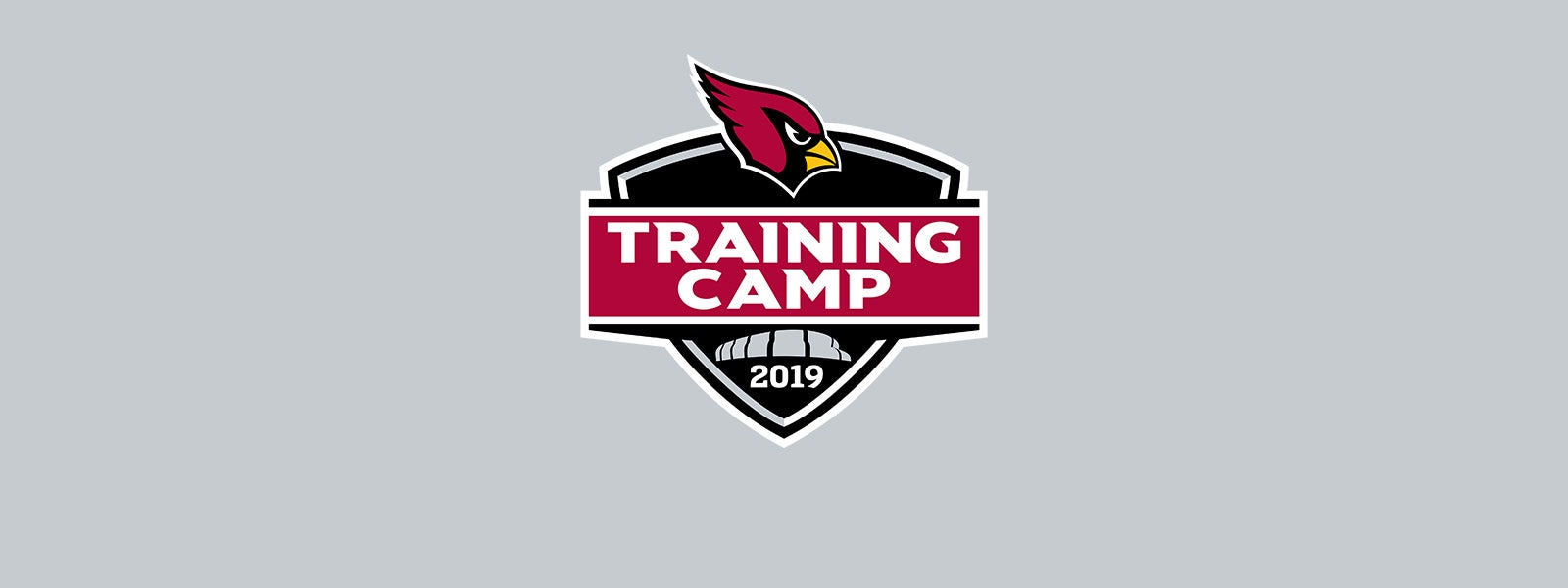 Cardinals Training Camp